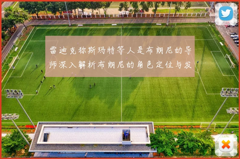 雷迪克称斯玛特等人是布朗尼的导师深入解析布朗尼的角色定位与发展方向