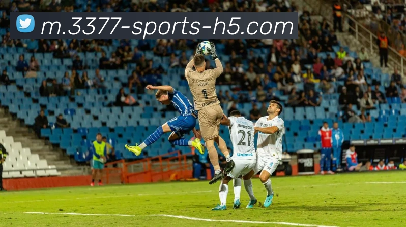 3377体育平台生态图