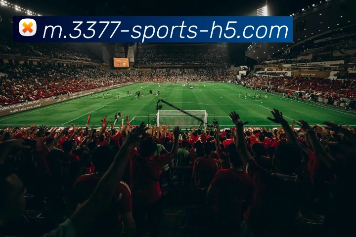 3377体育APP 封面图