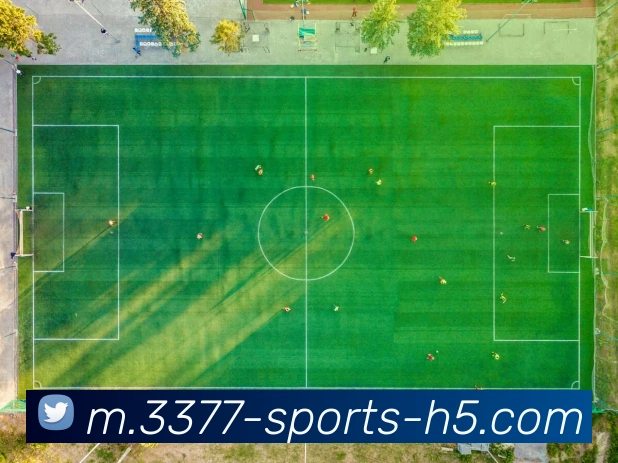 数据防护可视化